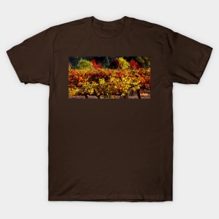 Autumn Vineyard Landscape T-Shirt